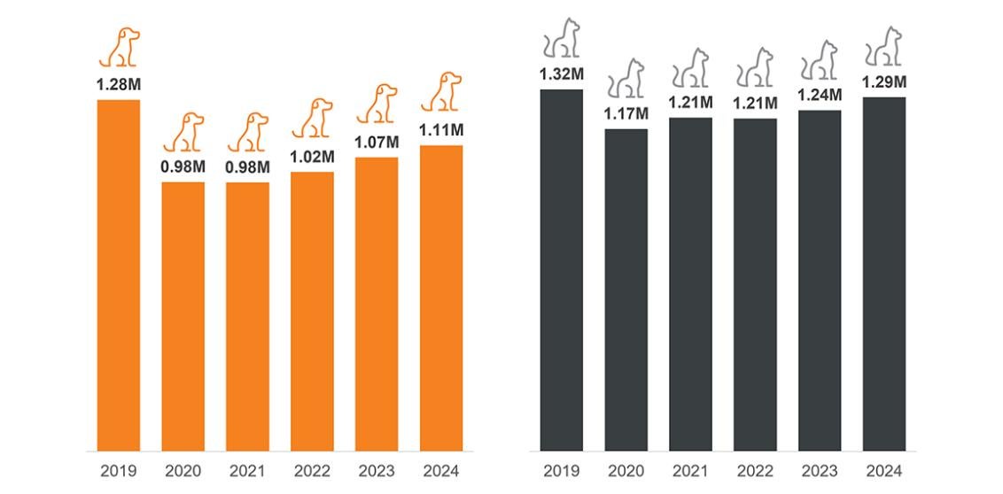 2016-2024 bar graphs showing adoptions by volume.