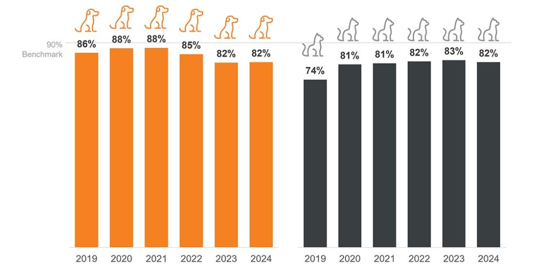 2019-2024 bar graphs of cat and dog save rates showing "While cat save rates remained steady, dog save rates have not returned to pre-pandemic levels"