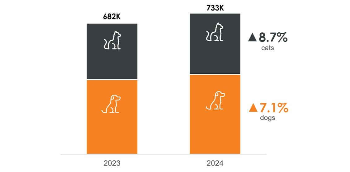 2023 and 2024 bar charts of dog and cat transfers.