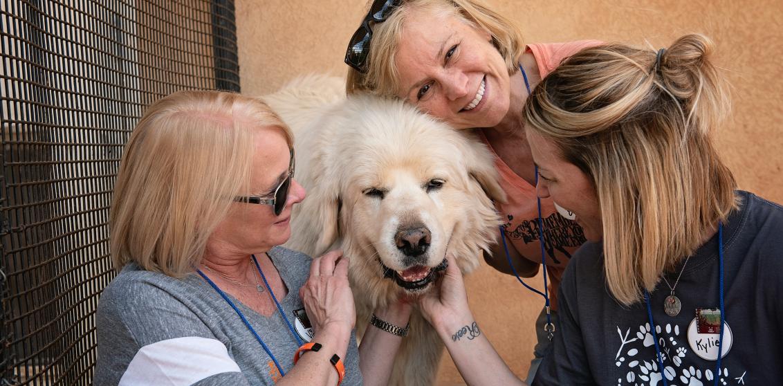 Three women with a white fluffy dog