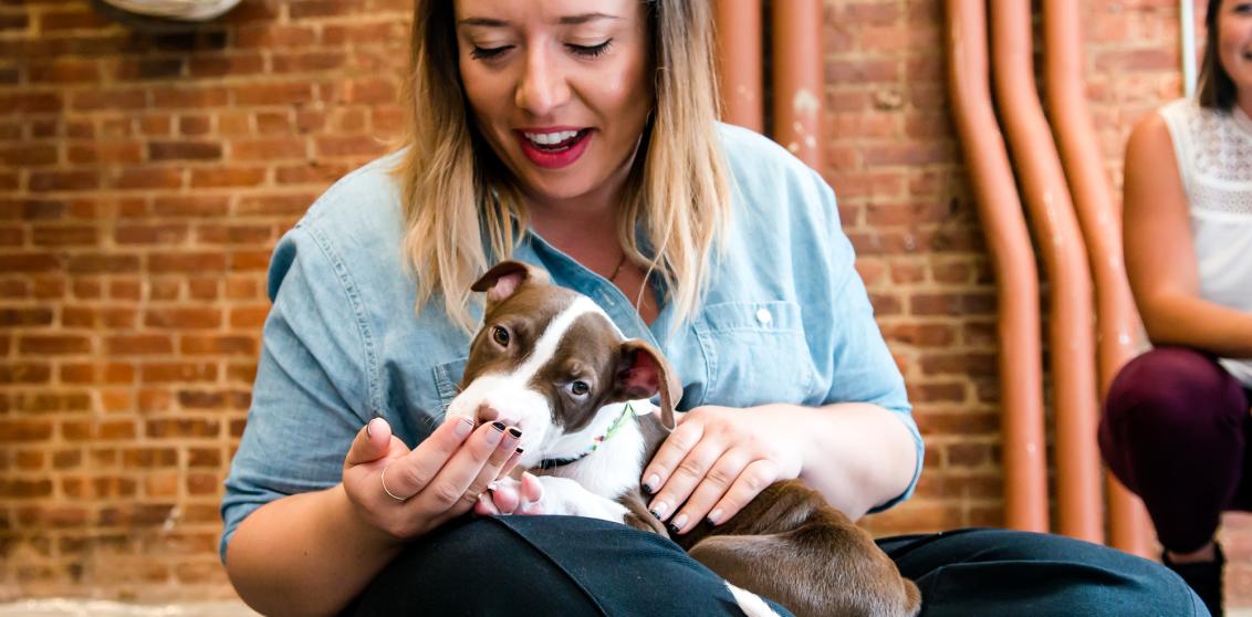 Person sitting on the ground with a small puppy