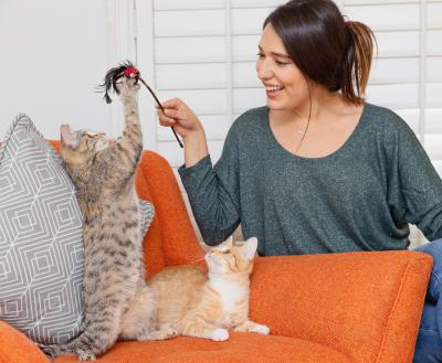 Smiling person playing with two kittens on an orange chair