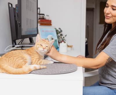 Smiling person petting an orange tabby at who is lying on a mat next to her computer