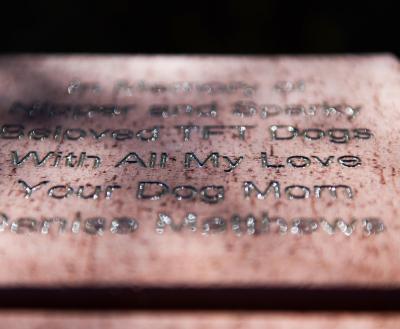 Memorial brick at Angels Rest engraved with a message