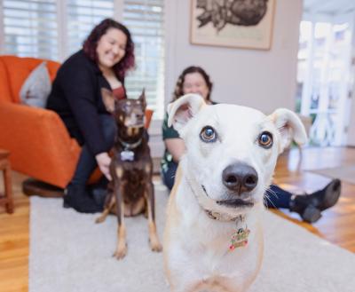 Two people sitting with two dogs in a living room