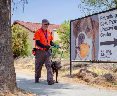 Person wearing an orange volunteer shirt walking a dog by a sign to the Best Friends Lifesaving Center