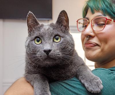 Smiling person holding a gray cat
