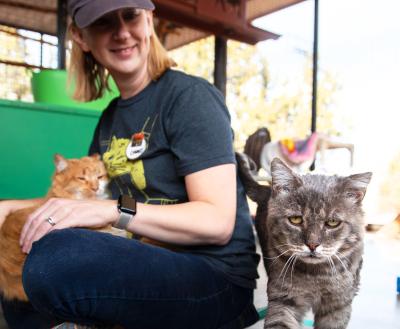 Volunteer sitting with two cats in an airy outdoor cat enclosure