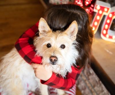 Person hugging a dog in a festive home environment