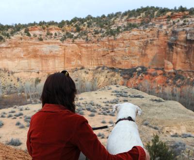 Person sitting next to a dog looking out over Angel Canyon at Best Friends Animal Sanctuary