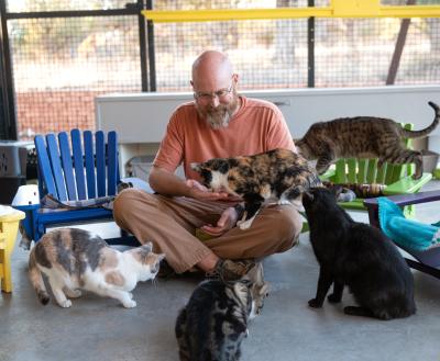 Man sitting in cat enclosure surrounded by cats