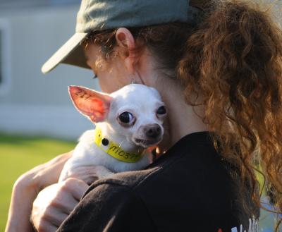Person holding a small dog rescued from a puppy mill