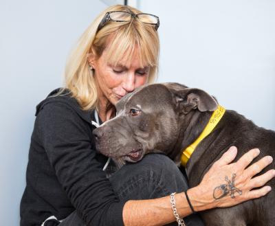 Person kissing the head of a gray pit-bull-type dog with her hand on the dog's side