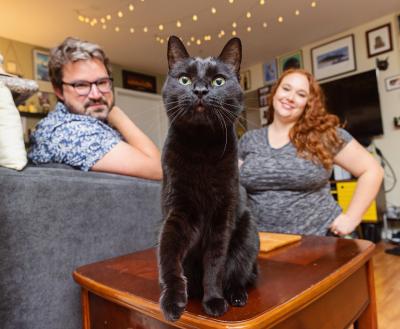 Two smiling people sitting with a cat in a cozy living room