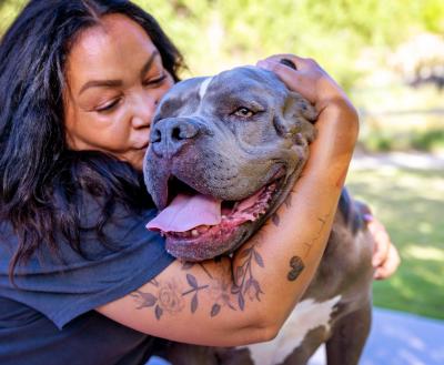 Person hugging and kissing a pit bull terrier dog