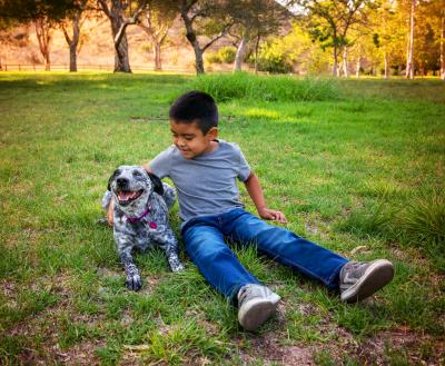 Child lying in the grass with a happy spotted dog
