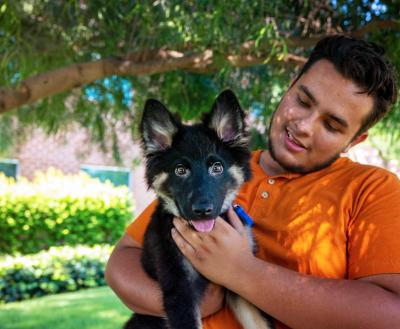 Person under a tree holding a big shepherd puppy