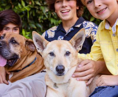 Three smiling children with two dogs