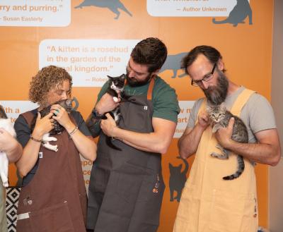 3 people each holding a kitten wearing aprons