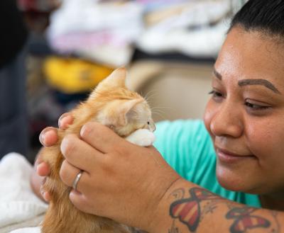 Person with tattoos on her arm holding and looking at a small orange tabby kitten