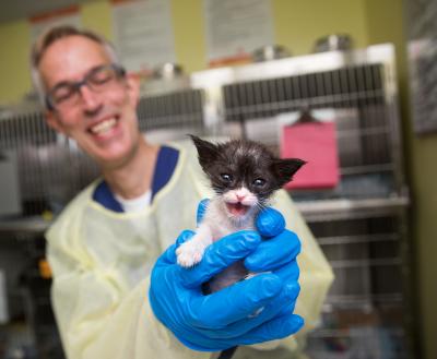 Smiling person holding a tiny kitten in a veterinary clinic setting