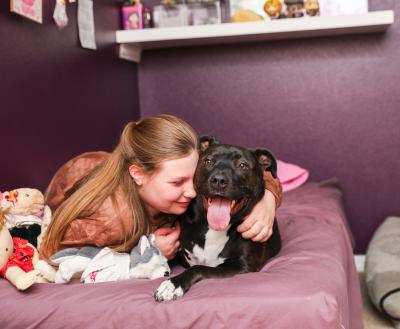 Person lying on a bed with her arm around a black and white pit bull terrier