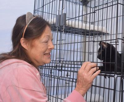 A woman in pink cat ears gently greets a kitten through its kennel at a community adoption event.