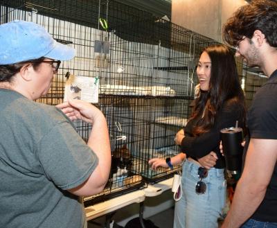 Excited adopters talking with a shelter employee in front of an adoptable cat in a cage.