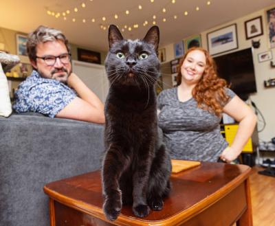 Black cat sitting on an end table with two smiling people behind him