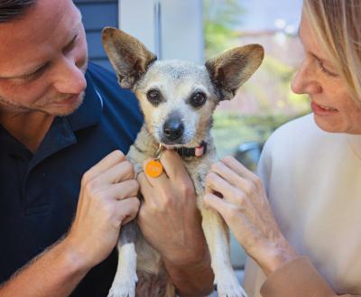 Two people, each on either side of a small dog with large ears who they're holding