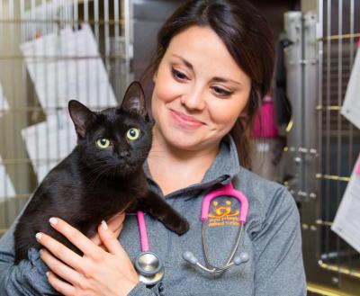 Smiling person holding a young cat in a clinic setting