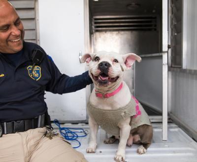 Animal Control Officer petting a smiling pit bull