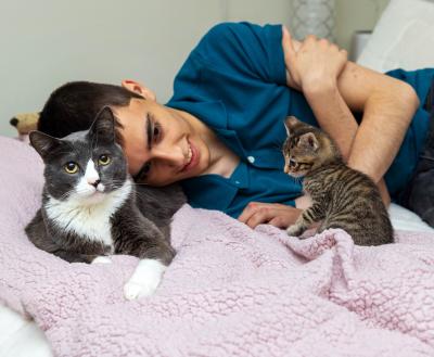 Person lying on a bed with a cat and a tabby kitten