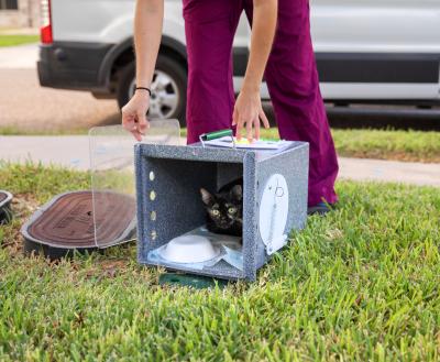 Community cat being released from a trap