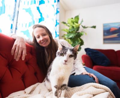 Cat sitting on a blanket on a couch with a smiling person