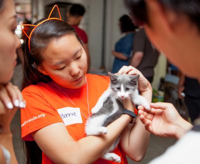 Volunteer holding a tiny kitten at a New York City pet adoption event