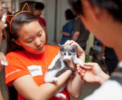 Volunteer holding a tiny kitten at a New York City pet adoption event