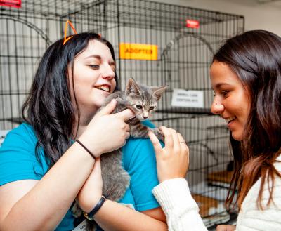 Volunteer holding a tiny kitten at a New York City pet adoption event
