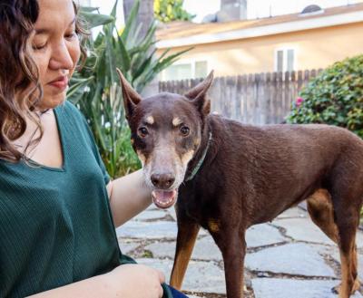 Woman outside, petting a Doberman-type dog