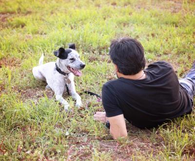Person lying in the grass with a black and white dog