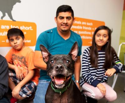 Group of smiling people sitting with a dog to celebrate its adoption