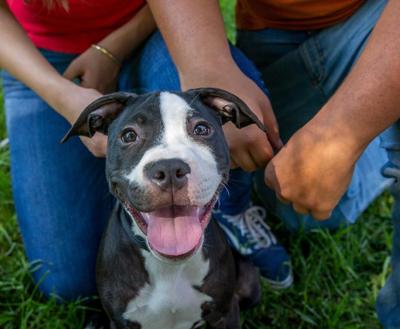 Smiling black and white dot with two people behind him