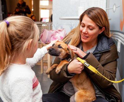 Two people petting a happy puppy at pet adoption center in SoHo