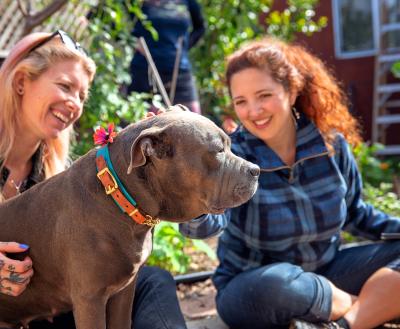 Two smiling people sitting outside in a garden with a big dog