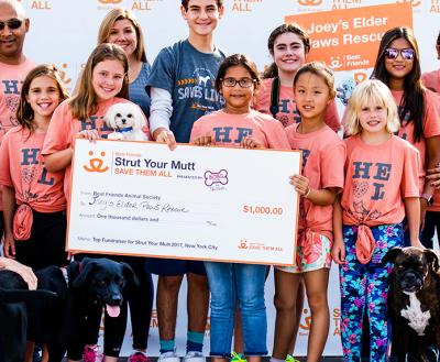 Group of people and dogs from Joey's Elder Paws Rescue holding a large $1,000 check on stage at a Strut Your Mutt event