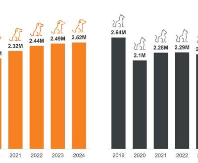 2019-2024 bar graphs of cat and dog intake showing "Animal intakes in 2023 and 2024 stabilized."