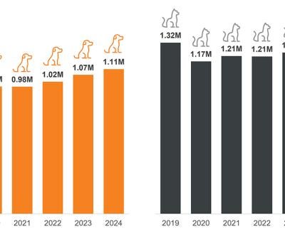 2016-2024 bar graphs showing adoptions by volume.