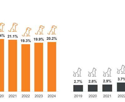 2019-2024 bar graphs of cat and dog return-to-home.