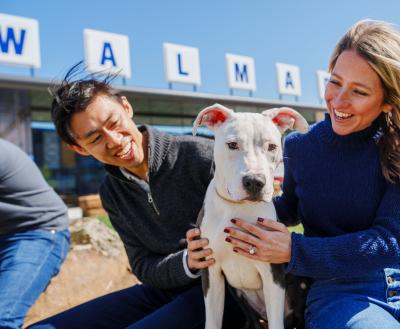 Two smiling people sitting outside with a dog between them with a sign that reads "Walmart" in the background