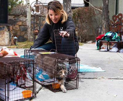 Person releasing a community cat from a humane trap, with additional traps around them